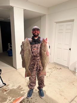 Gag Grouper Fishing in Holmes Beach, Florida