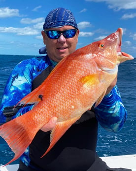 Hogfish fishing in Islamorada, Florida