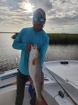 Fishing in Saint Bernard, Louisiana