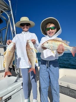 Fishing in Sarasota, Florida