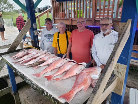 Red Snapper Fishing in Port Isabel, Texas