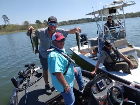 Largemouth Bass Fishing in Austin, Texas