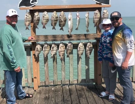 Sheepshead, Speckled Trout / Spotted Seatrout fishing in South Padre Island, Texas