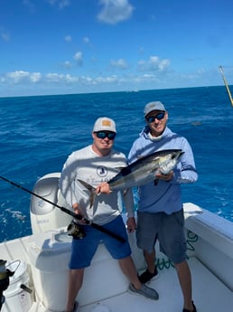 Blackfin Tuna Fishing in Marathon, Florida