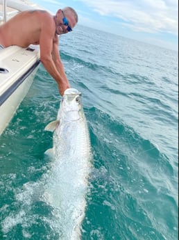 Tarpon fishing in Sarasota, Florida