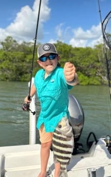 Sheepshead Fishing in Naples, Florida