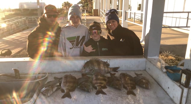 Sheepshead Fishing in Galveston, Texas