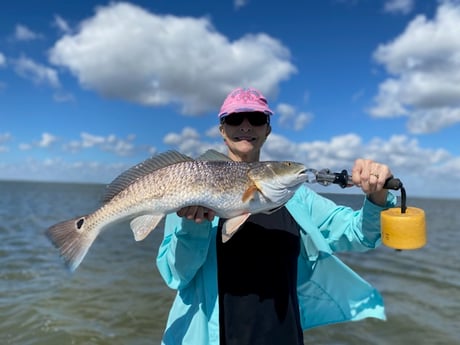 Redfish Fishing in Corpus Christi, Texas