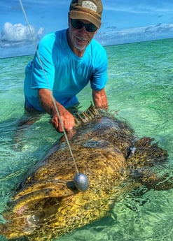 Goliath Grouper fishing in Cudjoe Key, Florida