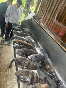 Fishing in Biloxi, Mississippi