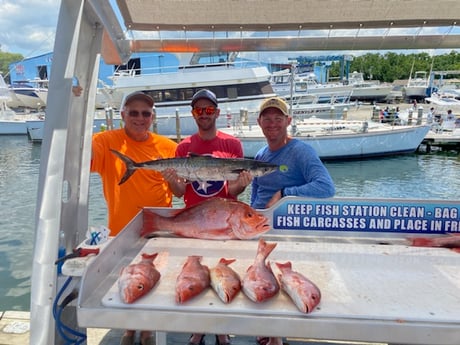 King Mackerel / Kingfish, Red Snapper fishing in Destin, Florida