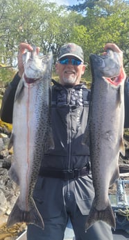 Chinook Salmon Fishing in Montesano, Washington