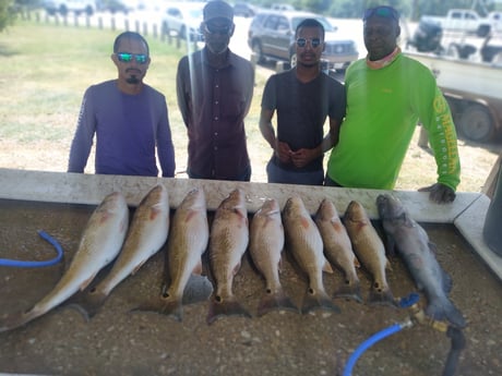 Redfish fishing in San Antonio, Texas