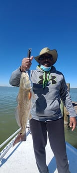 Redfish fishing in Galveston, Texas