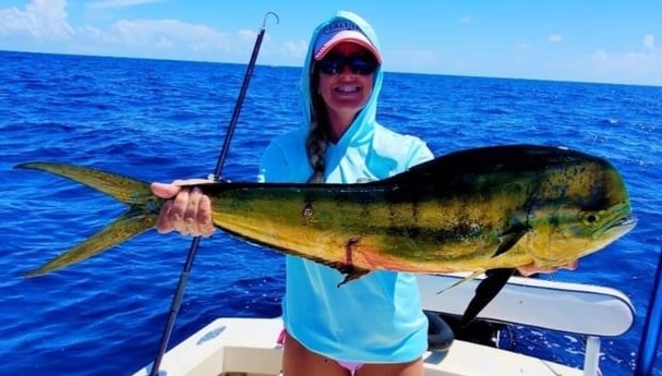 Mahi Mahi / Dorado Fishing in Tampa, Florida