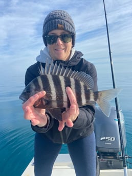 Sheepshead Fishing in Beaufort, North Carolina