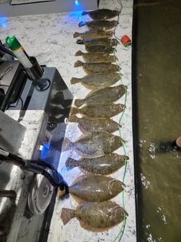 Flounder Fishing in South Padre Island, Texas