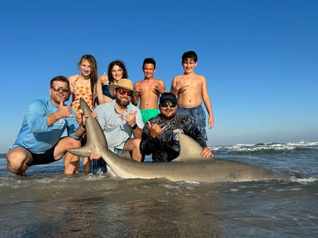 Bull Shark Fishing in Corpus Christi, Texas