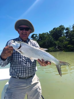 Tarpon fishing in Tavernier, Florida