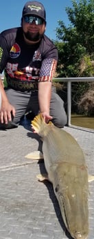 Alligator Gar fishing in Livingston, Texas