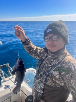 Black Seabass Fishing in Mount Pleasant, South Carolina