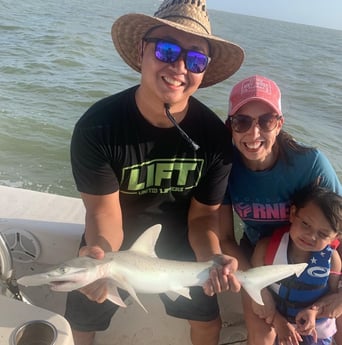 Bonnethead Shark fishing in Corpus Christi, Texas