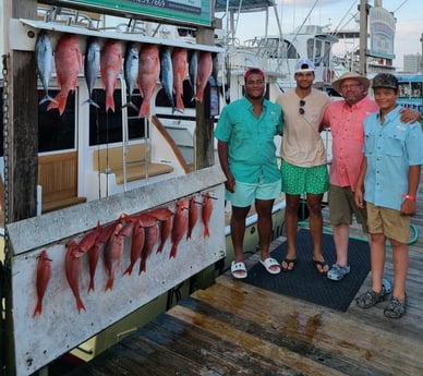 False Albacore, Red Snapper Fishing in Destin, Florida