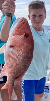 Red Snapper fishing in Orange Beach, Alabama