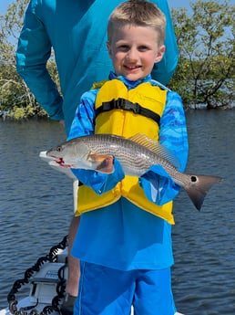 Fishing in Tarpon Springs, Florida