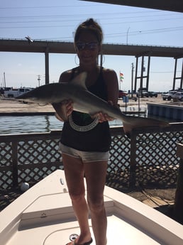 Blacktip Shark fishing in Corpus Christi, Texas