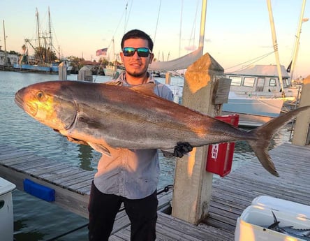 Amberjack fishing in Port Isabel, Texas