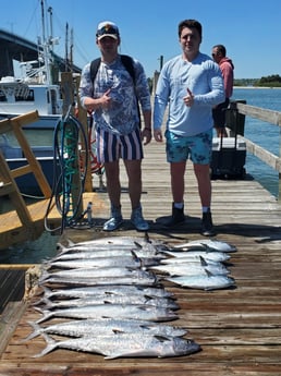 King Mackerel / Kingfish, Little Tunny / False Albacore fishing in Port Orange, Florida