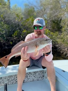 Redfish Fishing in St. Petersburg, Florida