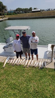 Redfish, Speckled Trout / Spotted Seatrout fishing in Port O&#039;Connor, Texas