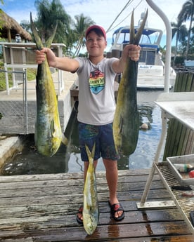 Mahi Mahi / Dorado fishing in Pompano Beach, Florida