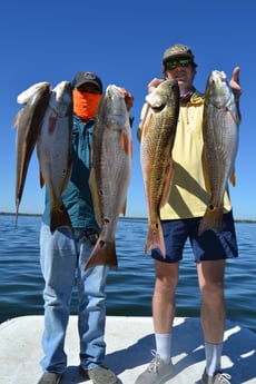 Redfish Fishing in San Antonio, Texas