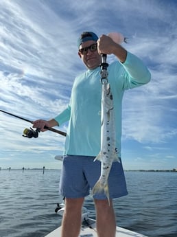 Fishing in Sarasota, Florida