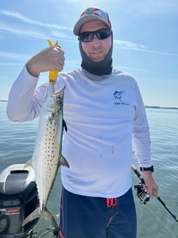 Spanish Mackerel Fishing in Clearwater, Florida