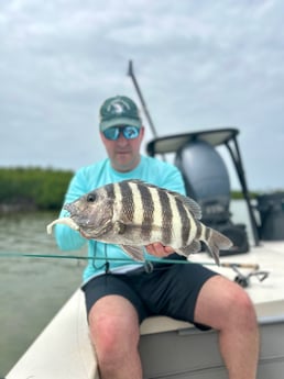 Sheepshead Fishing in Islamorada, Florida