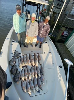 Sheepshead, Speckled Trout / Spotted Seatrout fishing in Venice, Louisiana