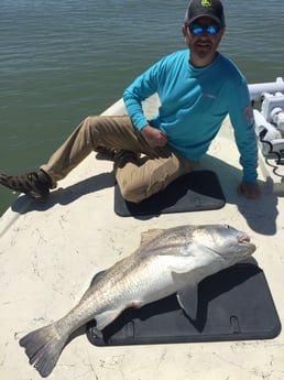 Black Drum fishing in Rockport, Texas