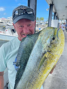 Mahi Mahi / Dorado fishing in Key West, Florida