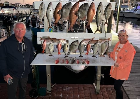 Amberjack, Mangrove Snapper, Red Snapper, Scup / Porgy, Triggerfish Fishing in Destin, Florida