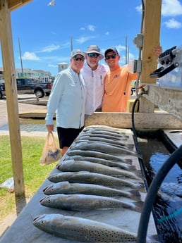 Speckled Trout / Spotted Seatrout fishing in Galveston, Texas