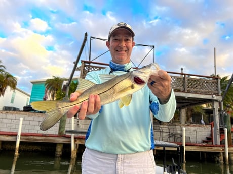 Snook Fishing in New Smyrna Beach, Florida