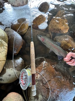 Redfish fishing in Austin, Texas