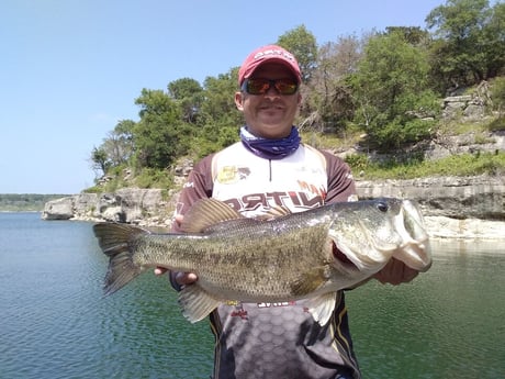 Largemouth Bass fishing in Austin, Texas