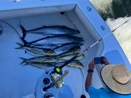 Mahi Mahi, Wahoo Fishing in Fort Lauderdale, Florida