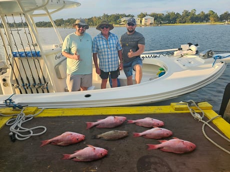 Gag Grouper, Red Snapper Fishing in Panama City, Florida