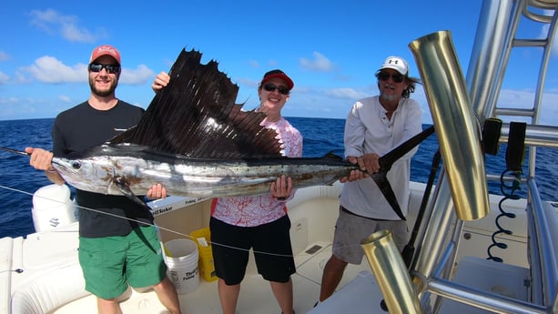 Sailfish Fishing in Marathon, Florida